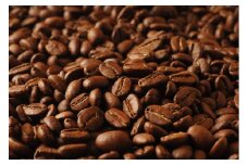 【ふるさと納税】 さぬき珈琲 純国産コーヒー豆 200g×2袋 (自家焙煎) [コーヒー 珈琲 国産 香川県 三豊市 自家焙煎 豆 粉 送料無料 ギフト 人気 返礼品 セブントレジャー農園 ]