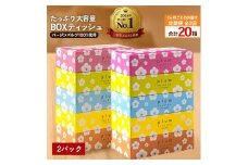 【ふるさと納税】 ティッシュ ティッシュペーパー 「 大容量 プラムファッション BOXティッシュ2パック (ケース10個入り)  定期便 全2回(3ヶ月ごと)」 [ 常備品 生活用品 まとめ買い 蛍光染料不使用 日用品 日用雑貨 日用消耗品 ]  【配送不可地域：北海道・沖縄県・離島】