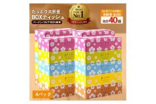 【ふるさと納税】 ティッシュ ティッシュペーパー 「 大容量 プラムファッション BOXティッシュ 4パック（ケース20個入り） 定期便 全2回(3ヶ月ごと) 」 [ 常備品 生活用品 まとめ買い 蛍光染料不使用 日用品 日用雑貨 日用消耗品 ]  【配送不可地域：北海道・沖縄県・離島】