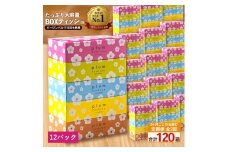 【ふるさと納税】 ティッシュ ティッシュペーパー 「 大容量 プラムファッション BOXティッシュ 12パック（ケース60個入り） 定期便 全2回(3ヶ月ごと)」 [ 常備品 生活用品 まとめ買い 蛍光染料不使用 日用品 日用雑貨 日用消耗品 ]  【配送不可地域：北海道・沖縄県・離島】