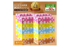 【ふるさと納税】 ティッシュ ティッシュペーパー 「 大容量 プラムファッション BOXティッシュ 4パック（ケース20個入り） 定期便 全3回(2ヶ月ごと)」 [ 常備品 生活用品 まとめ買い 蛍光染料不使用 日用品 日用雑貨 日用消耗品 ]  【配送不可地域：北海道・沖縄県・離島】