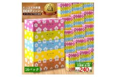 【ふるさと納税】 ティッシュ ティッシュペーパー 「 大容量 プラムファッション BOXティッシュ 16パック（ケース80個入り） 定期便 全3回(2ヶ月ごと)」 [ 常備品 生活用品 まとめ買い 蛍光染料不使用 日用品 日用雑貨 日用消耗品 ]  【配送不可地域：北海道・沖縄県・離島】