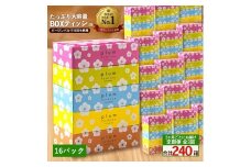 【ふるさと納税】 ティッシュ ティッシュペーパー 「 大容量 プラムファッション BOXティッシュ 16パック（ケース80個入り） 定期便 全3回(2ヶ月ごと)」 [ 常備品 生活用品 まとめ買い 蛍光染料不使用 日用品 日用雑貨 日用消耗品 ]  【配送不可地域：北海道・沖縄県・離島】
