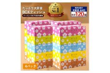 【ふるさと納税】 ティッシュ ティッシュペーパー 「 大容量 プラムファッション BOXティッシュ 4パック（ケース20個入り） 定期便 全6回(毎月)」 [ 常備品 生活用品 まとめ買い 蛍光染料不使用 日用品 日用雑貨 日用消耗品 ]  【配送不可地域：北海道・沖縄県・離島】