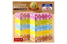 【ふるさと納税】 ティッシュ ティッシュペーパー 「 大容量 プラムファッション BOXティッシュ 2パック (ケース10個入り) 定期便 全6回(毎月)」 [ 常備品 生活用品 まとめ買い 蛍光染料不使用 日用品 日用雑貨 日用消耗品 ]  【配送不可地域：北海道・沖縄県・離島】