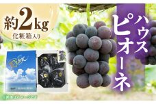 【ふるさと納税】【先行予約】 【配送不可地域：北海道・沖縄県・離島】 ハウスピオーネ　約2kg化粧箱入り