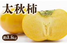 【ふるさと納税】【先行予約】【配送不可地域：北海道・沖縄県・離島】新食感甘柿 「太秋柿（たいしゅうがき）」 約3.5kg  国産 柿 カキ かき kaki 直送 新鮮 旬 オーガニック 健康効果 保存方法 美容効果 栄養価 送料無料 フルーツ 果物 詰め合わせ 詰合せ