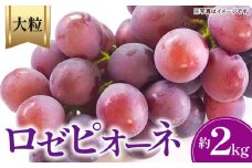 【ふるさと納税】【先行予約】【配送不可地域：北海道・沖縄県・離島】 ロゼピオーネ 約2kg (3～6房)  大粒 濃厚 種なし ギフト 贈答用 赤い ピオーネ ぶどう フルーツ 果物 果実 食品  デザート 送料無料 産地直送 お取り寄せ お取り寄せグルメ 香川県 三豊市  2キロ