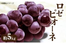 【ふるさと納税】【先行予約】【配送不可地域：北海道・沖縄県・離島】ブドウ ロゼピオーネ 約5kg 種なし ピオーネ 大粒 濃厚 人気 フルーツ 果物 デザート ギフト 贈り物 プレゼント 冷蔵 グルメ お取り寄せ お取り寄せグルメ 食べ物 香川県 三豊市 送料無料