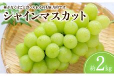 【ふるさと納税】【先行予約】【配送不可地域：北海道・沖縄県・離島】シャインマスカット 約2kg 2～6房入り ぶどう マスカット 旬 糖度 皮ごと 種なし 新食感 デザート 果物 フルーツ ギフト 贈答用 プレゼント お取り寄せ 送料無料 大粒 贈答用 ギフト  秋 旬