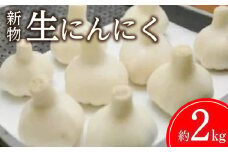【ふるさと納税】【先行予約】【新物】生にんにく 約2kg