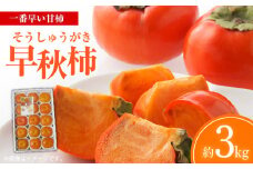【ふるさと納税】【先行予約】【配送不可地域：北海道・沖縄県・離島】一番早い甘柿「早秋柿（そうしゅうがき）」約3kg  柿 カキ かき kaki 国産 フルーツ 果物 お取り寄せ 詰め合わせ 詰合せ 詰合わせ 訳あり 大粒 直送 新鮮 旬 オーガニック 健康効果 保存方法