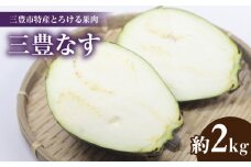 【ふるさと納税】【先行予約】三豊市特産とろける果肉「三豊なす」約2kg
