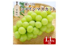 【ふるさと納税】期間限定 シャインマスカット 1房(約600g)～最大9房(約4.4kg以上) [ フルーツ 果物 ぶどう マスカット 美味しい 旬 糖度 皮ごと 種なし 送料無料 食品 大粒 訳あり 贈答用 ギフト 三豊市 五色青果 返礼品]【配送不可地域：北海道・沖縄県・離島】