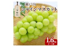 【ふるさと納税】期間限定 シャインマスカット 1房(約600g)～最大9房(約4.4kg以上) [ フルーツ 果物 ぶどう マスカット 美味しい 旬 糖度 皮ごと 種なし 送料無料 食品 大粒 訳あり 贈答用 ギフト 三豊市 五色青果 返礼品]【配送不可地域：北海道・沖縄県・離島】