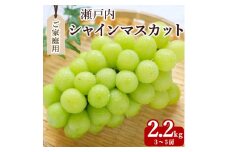 【ふるさと納税】期間限定 シャインマスカット 1房(約600g)～最大9房(約4.4kg以上) [ フルーツ 果物 ぶどう マスカット 美味しい 旬 糖度 皮ごと 種なし 送料無料 食品 大粒 訳あり 贈答用 ギフト 三豊市 五色青果 返礼品]【配送不可地域：北海道・沖縄県・離島】