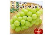 【ふるさと納税】期間限定 シャインマスカット 1房(約600g)～最大9房(約4.4kg以上) [ フルーツ 果物 ぶどう マスカット 美味しい 旬 糖度 皮ごと 種なし 送料無料 食品 大粒 訳あり 贈答用 ギフト 三豊市 五色青果 返礼品]【配送不可地域：北海道・沖縄県・離島】