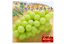 【ふるさと納税】期間限定 シャインマスカット 1房(約600g)～最大9房(約4.4kg以上) [ フルーツ 果物 ぶどう マスカット 美味しい 旬 糖度 皮ごと 種なし 送料無料 食品 大粒 訳あり 贈答用 ギフト 三豊市 五色青果 返礼品]【配送不可地域：北海道・沖縄県・離島】