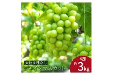 【ふるさと納税】 期間限定 シャインマスカット 期間限定 4房(約3kg) ぶどう マスカット 旬 糖度 皮ごと 種なし 送料無料 ギフト 贈答用 国産 食品 フルーツ お取り寄せ お取り寄せグルメ