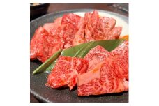 【ふるさと納税】 ハラミ 牛肉専門店の 旨辛ハラミ  500g [ ハラミ 牛ハラミ 牛肉ハラミ 焼肉 焼き肉 焼肉セット 焼肉用 焼肉専門店 味付けハラミ ピリ辛牛肉 コチュジャン BBQ アウトドア タレ漬け肉 韓国風焼肉 贈答 返礼品 三豊市 送料無料 サンエーフード ]
