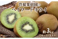 【ふるさと納税】【配送不可地域：北海道・沖縄県・離島】曽根果樹園のヘイワードキウイ約3ｋｇ（24～33玉入り）  秋 旬