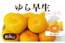 【ふるさと納税】【先行予約】 【配送不可地域：北海道・沖縄県・離島】極早生みかんの最高峰 「ゆら早生」 約5kg  秋 旬