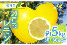 【ふるさと納税】【配送不可地域：北海道・沖縄県・離島】 三豊市産 瀬戸内レモン 約５ｋｇ（30～50個前後） 檸檬 れもん 爽やか 香り レモン 国産 lemon オーガニック 瀬戸内 有機レモン 通販 お取り寄せ オーガニックレモン 瀬戸内レモン フレッシュレモン  秋 旬