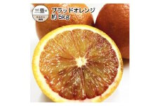 【ふるさと納税】国産希少オレンジ 「ブラッドオレンジ」 約5kg