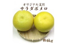 【ふるさと納税】オリジナル文旦「サラダポメロ」約6ｋｇ（5～10玉）