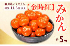 【ふるさと納税】【先行予約】【配送不可地域：北海道・沖縄県・離島】みかん 約 5kg 金時紅 約40～60玉 サイズ L～S 糖度11度以上 高糖度 濃厚 香川県 三豊市 オリジナル 小原紅早生 果物 フルーツ  常温 お取り寄せ お取り寄せフルーツ 送料無料