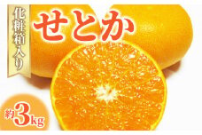 【ふるさと納税】【配送不可地域：北海道・沖縄県・離島】みかん せとか 約 3kg 7玉～12玉 国産 とろける食感 とろける甘さと濃厚な風味 なめらかで美しい果肉 みかんの大トロ とも呼ばれる 海外からも注目 柑橘 フルーツ 果物 2月上旬から2月下旬頃の順次発送  秋 旬