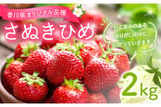 M02-0028_香川県オリジナル品種 さぬきひめ約2kg（1月以降発送）   果物・野菜 いちご イチゴ 苺
