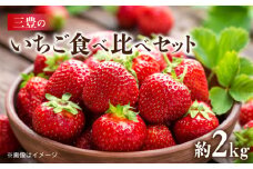【ふるさと納税】【配送不可地域：北海道・沖縄県・離島】 いちご 食べ比べ セット 女峰いちご さぬきひめ 各 250g 4パック 計 約 2kg 2月上旬より順次発送 甘み 酸味 香りが強い ジューシー 果肉 ケーキ お菓子 果物 フルーツ スイーツ 香川県 お取り寄せ 送料無料