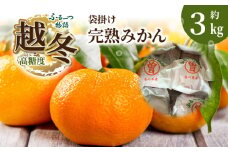 【ふるさと納税】【配送不可地域：北海道・沖縄県・離島】みかん 約 3kg 完熟 高糖度 糖度13度以上 30個 ～ 50個 入り 選りすぐり ふるーつ物語 越冬 越冬完熟みかん 甘い フルーツ 果物 香川県産 国産 常温 香川県 三豊市 お取り寄せ 送料無料  秋 旬
