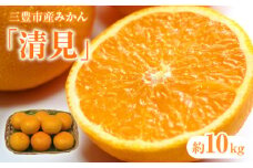 【ふるさと納税】【先行予約】【配送不可地域：北海道・沖縄県・離島】 三豊市産みかん「清見」約10kg  秋 旬