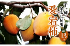【ふるさと納税】【締め切り間近:11月20日まで】【配送不可地域：北海道・沖縄県・離島】干し柿・吊るし柿用「愛宕柿」約13kg  柿 かき kaki 直送 旬 健康効果 栄養価 送料無料 フルーツ 果物 お取り寄せグルメ 御取り寄せグルメ 詰め合わせ 詰合せ 詰合わせ 秋 旬