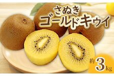 【ふるさと納税】【先行予約】【締め切り間近: 11月30日まで】【配送不可地域：北海道・沖縄県・離島】キウイフルーツ キウイ ゴールドキウイ 約 3kg 20玉～24玉 甘い 果実 大きい 大玉 さぬきゴールドキウイ フルーツ 果物 お取り寄せ 香川県 三豊市 送料無料