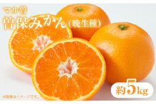 【ふるさと納税】【マル曽】【配送不可地域：北海道・沖縄県・離島】曽保みかん (晩生種) 約5kg  秋 旬