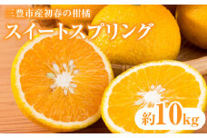 【ふるさと納税】【配送不可地域：北海道・沖縄県・離島】三豊市産初春の柑橘「スイートスプリング」約10kg  秋 旬