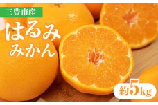 【ふるさと納税】【先行予約】【配送不可地域：北海道・沖縄県・離島】三豊市産はるみみかん 約5kg  秋 旬