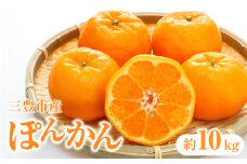 【ふるさと納税】【配送不可地域：北海道・沖縄県・離島】三豊市産ぽんかん 約10kg  秋 旬