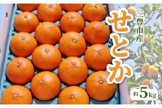 【ふるさと納税】【配送不可地域：北海道・沖縄県・離島】みかん せとか 約 5kg 15玉～28玉 三豊市産 とろける食感 ジューシー 甘い オレンジのような濃厚な味 手で簡単に皮がむける 中の薄皮も非常に薄い 柑橘 フルーツ 果物 2月上旬より順次発送 香川県 お取り寄せ