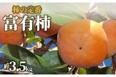 【ふるさと納税】【先行予約】【配送不可地域：北海道・沖縄県・離島】柿の定番「富有柿」約3.5kg  柿 カキ かき kaki 直送 新鮮 旬 オーガニック 健康効果 保存方法 美容効果 栄養価 送料無料 フルーツ 果物 お取り寄せグルメ 詰め合わせ 詰合せ 大粒 高級 秋 旬