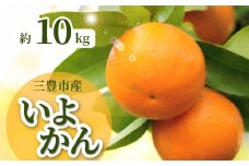 【ふるさと納税】【配送不可地域：北海道・沖縄県・離島】みかん いよかん 約 10kg 30玉～50玉 入り 強い甘み ほどよい酸味 果肉はやわらかく とてもジューシー 香りを豊かに感じる事ができる 爽やかな柑橘の香り 香川県 三豊市産 果物 フルーツ お取り寄せ 送料無料