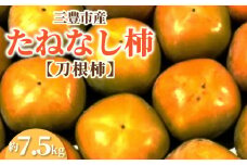 【ふるさと納税】【先行予約】 三豊市産たねなし柿（刀根柿）約7.5kg