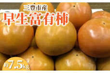 【ふるさと納税】【締め切り間近: 11月6日まで】【先行予約】【配送不可地域：北海道・沖縄県・離島】三豊市産早生富有柿 約7.5kg  ふゆう柿 5kg 以上 柿 カキ かき kaki 直送 新鮮 旬 美容効果 栄養価 送料無料 フルーツ 果物 お取り寄せ  詰め合わせ 詰合せ 秋 旬