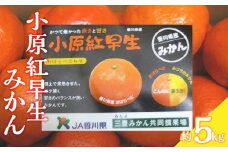 【ふるさと納税】【先行予約】【配送不可地域：北海道・沖縄県・離島】みかん 小原紅早生みかん 約5kg S～Lサイズ  常温 甘くて濃い 濃厚 香川県 オリジナルみかん 柑橘 フルーツ 果物 お土産 ギフト 三豊市 五色青果 お取り寄せ 送料無料  秋 旬