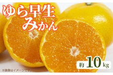 【ふるさと納税】【先行予約】 ゆら早生みかん 約10kg