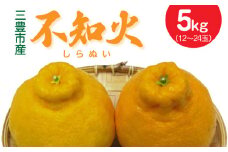 【ふるさと納税】【配送不可地域：北海道・沖縄県・離島】 三豊市産　不知火5kg（12～24玉）  秋 旬