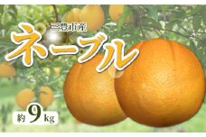 【ふるさと納税】【配送不可地域：北海道・沖縄県・離島】 ネーブル オレンジ 約 9kg 36玉～60玉 ネーブルオレンジ 三豊市産 国産 甘み 酸味 濃厚 バランスが良い 華やかな香りが強いのが特徴 種がほとんど無い 1月中旬より順次発送 フルーツ 果物 香川県 三豊市